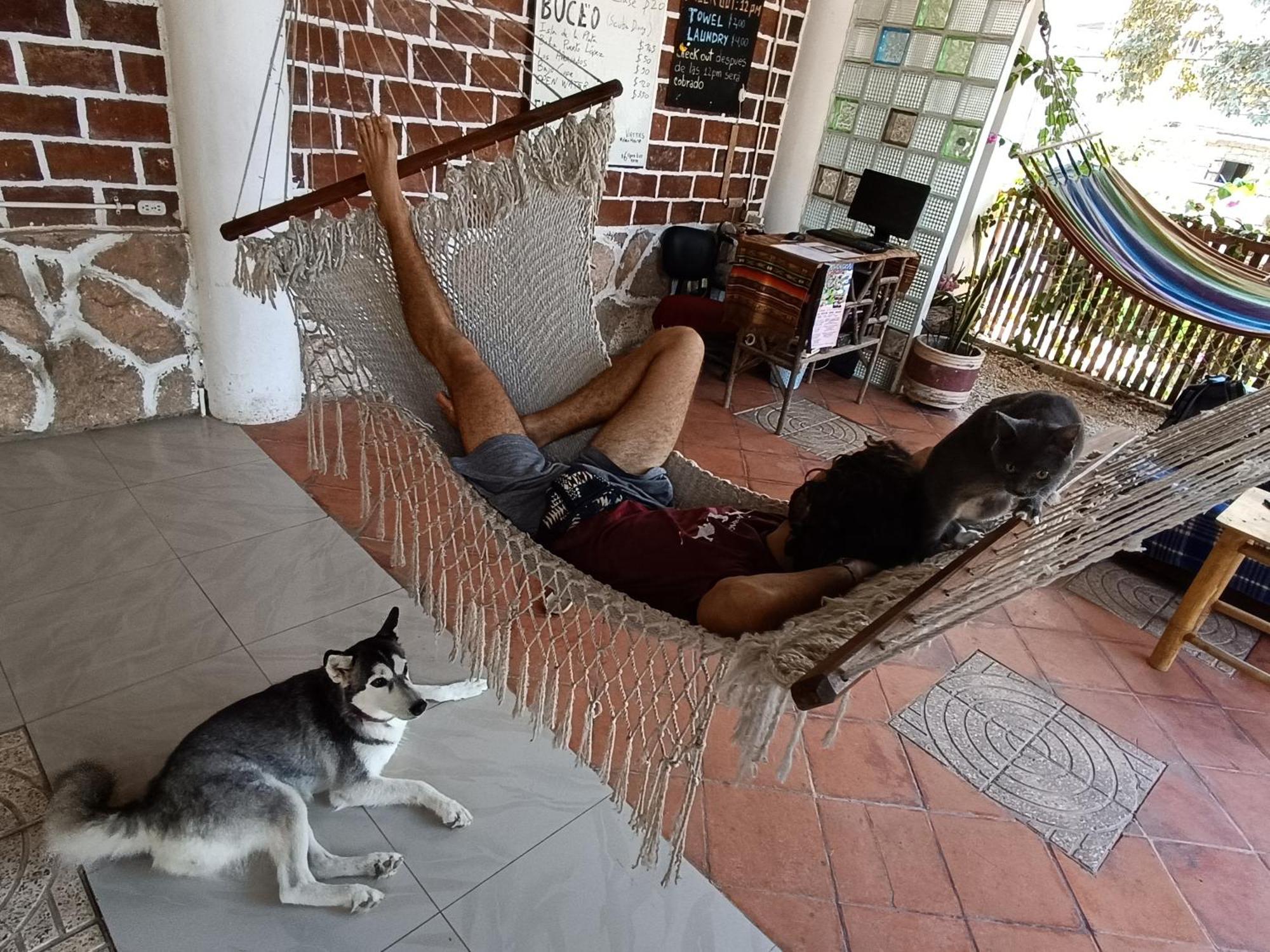 Munay Backpacker Hostel Монтаньита Экстерьер фото